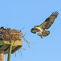 Delivering Breakfast